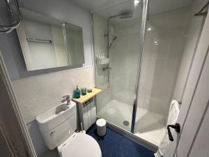 a bathroom with a shower and a toilet and a sink at The Snug: Dorset hideaway in Blandford Forum