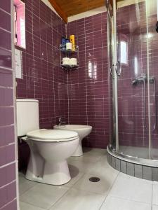 a bathroom with a toilet and a shower at ROOMS EMILIANO Castle of Kruja in Krujë +57 photos