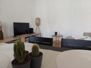 twee cactussen op een tafel in een woonkamer bij Alltravel pátio da rocha in Portimão