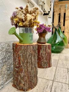 two vases sitting on top of a tree stump with flowers at L'Olivo - 1932 in Controguerra