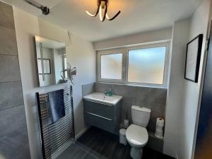 La salle de bains est pourvue de toilettes, d'un lavabo et d'un miroir. dans l'établissement Lime Tree in blue Duplex Serviced Apartment, à Cambridge