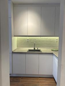 Scandinavian-style downtown apartment with a terrace 1096 Budapest, 13 Lenhossék utca kép - 2