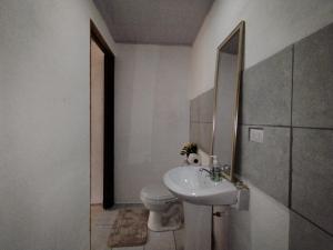 W łazience znajduje się umywalka, toaleta i lustro. w obiekcie Anluka Estudio w mieście Puerto Jiménez