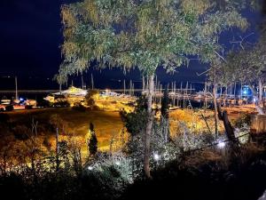 a view of a park at night with a tree at Secret Colors of Thessaloniki in Thessaloniki