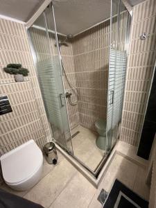 La salle de bains est pourvue de toilettes et d'une douche en verre. dans l'établissement Secret Colors of Thessaloniki, à Thessalonique