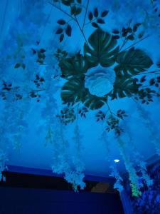 拜马欧Gîte L'instant Cocooning的相册照片