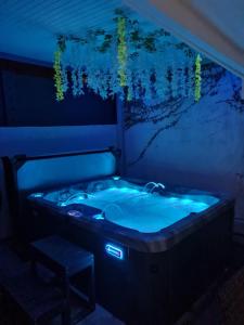 拜马欧Gîte L'instant Cocooning的相册照片