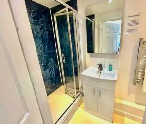 a bathroom with a shower and a sink and a mirror at Cambridge City Centre Studio, Sleeps 3 in Cambridge