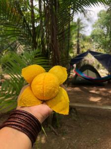 een persoon met een gele teddybeer in zijn hand bij CATEDRAL THE ROCK CAMPING in Presidente Figueiredo