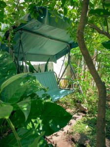 une chaise bleue assise au milieu d'un arbre dans l'établissement Hotel il Padrino, à Granada