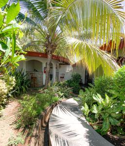 a house with a palm tree in front of it at Hotel il Padrino in Granada