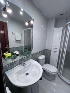 uma casa de banho com um lavatório, um WC e um chuveiro em Mi pisito en el Temple em La Coruña