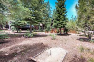 un patio con mesa de picnic y árboles en Mountain Majesty, en Truckee