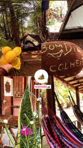 菲格雷多總統鎮的住宿－CATEDRAL THE ROCK CAMPING，一张带吊床和鲜花的图片拼贴