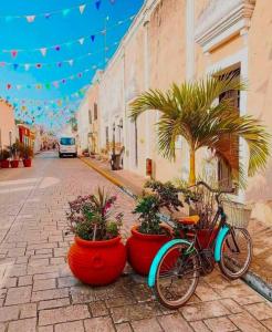 a bike parked on a street with potted plants at Chan Kiin Departamentos in Valladolid