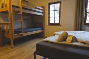 a bedroom with two bunk beds and a ladder at Altstadt Quartier in Schotten