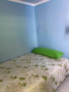 a bed in a blue room with a green pillow at Recanto do Bira in Socorro
