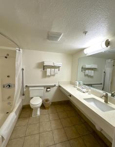 a bathroom with a toilet and a sink and a mirror at Vista Inn in Vista