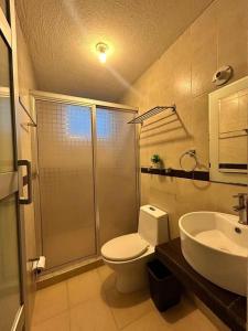 a bathroom with a shower and a toilet and a sink at Departamento Lumina Sipeh Xalapa in Xalapa