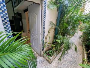 an open door to a house with palm trees at Hostel El Español in Santo Domingo