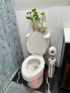 La salle de bains est pourvue de toilettes et d'une plante. dans l'établissement Skylife Home away from home, à Irvington