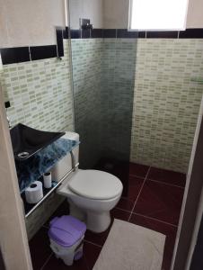 São João GrandeにあるPousada Flóridaのトイレとシャワー付きのバスルーム