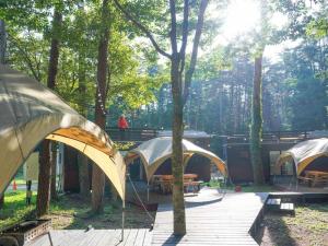 Ein Garten an der Unterkunft 森と湖の楽園ＷorkshopＣampＲesort