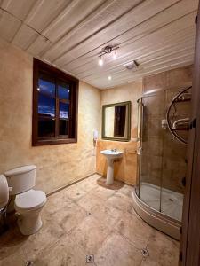 een badkamer met een toilet, een wastafel en een douche bij NASS Casa del Aguila in Cuenca
