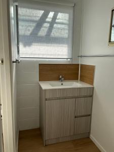 baño con lavabo y ventana en Avon Apartments en Hamilton