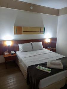 Postel nebo postele na pokoji v ubytování Flat Borges Lagoa Vl Mariana Ibirapuera com garagem UH1007