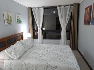 1 dormitorio con 1 cama y una ventana con cortinas en precioso departamento muy bien ubicado, en Santiago