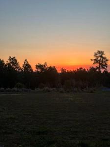 a sunset in a field with trees in the background at Tranquil Graniteville Hideaway- Greater CSRA Area in Aiken
