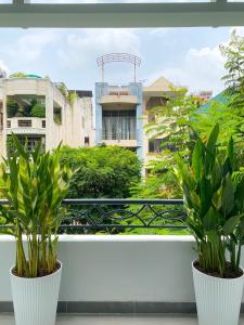 two plants in white pots sitting on a balcony at Calmette Home in Ho Chi Minh City