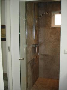 eine Duschkabine mit einer Glastür im Bad in der Unterkunft Studio 5 Walcheren in Grijpskerke