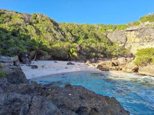 a beach with rocks and palm trees on a beach at Villa LANDREVA in Anse-Bertrand