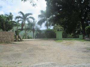 Zahrada ubytování Mango Lodge