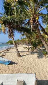a beach with palm trees and a surfboard on the sand at HOTEL LA BONGA in Puerto Limón