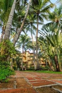 a row of palm trees in front of a building at Los Tules Standard Hotel Room 903 - 3rd floor in Puerto Vallarta