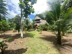 un complexe avec un palmier et un bâtiment dans l'établissement Jungle Lodge with lookout tower, à Pucallpa