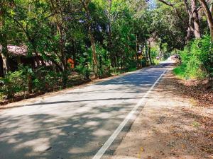 an empty road with trees on either side at Blue louts in Polonnaruwa