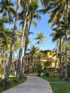 une rangée de palmiers devant un bâtiment dans l'établissement Los Tules Standard Hotel Room 903 - 3rd floor, à Puerto Vallarta