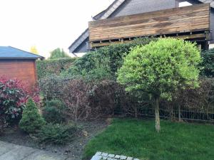 a small tree in a yard in front of a house at A-B-Apartment in Oyten