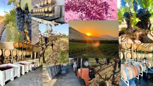 Fotografie z fotogalerie ubytování Sequoia View Vineyard v destinaci Sanger
