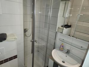 La salle de bains est pourvue d'une douche et d'un lavabo. dans l'établissement Traumblick, à Altenau