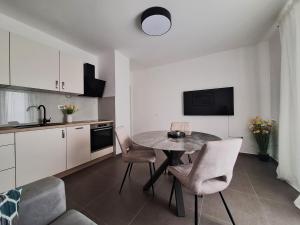 Kuchyň nebo kuchyňský kout v ubytování Villa Sirius