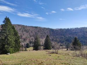 una vista de un campo con árboles en el fondo en Berggasthaus Präger Böden, en Todtnau