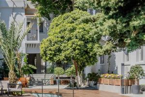 ein großer Baum vor einem Gebäude in der Unterkunft Hotel Centro Bodrum in Bodrum City