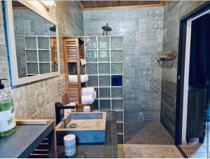 a bathroom with a sink and a shower at CHAMBRES ET TABLES D'HOTE DU VOYAGEUR in La Plaine des Palmistes