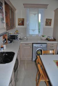 una cucina con lavandino e piano cottura forno superiore di πολυτελής εξοχική κατοικία a Nea Makri