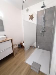 een badkamer met een douche en een glazen deur bij STUDIO AVEC COIN NUIT in Roquebrune-Cap-Martin